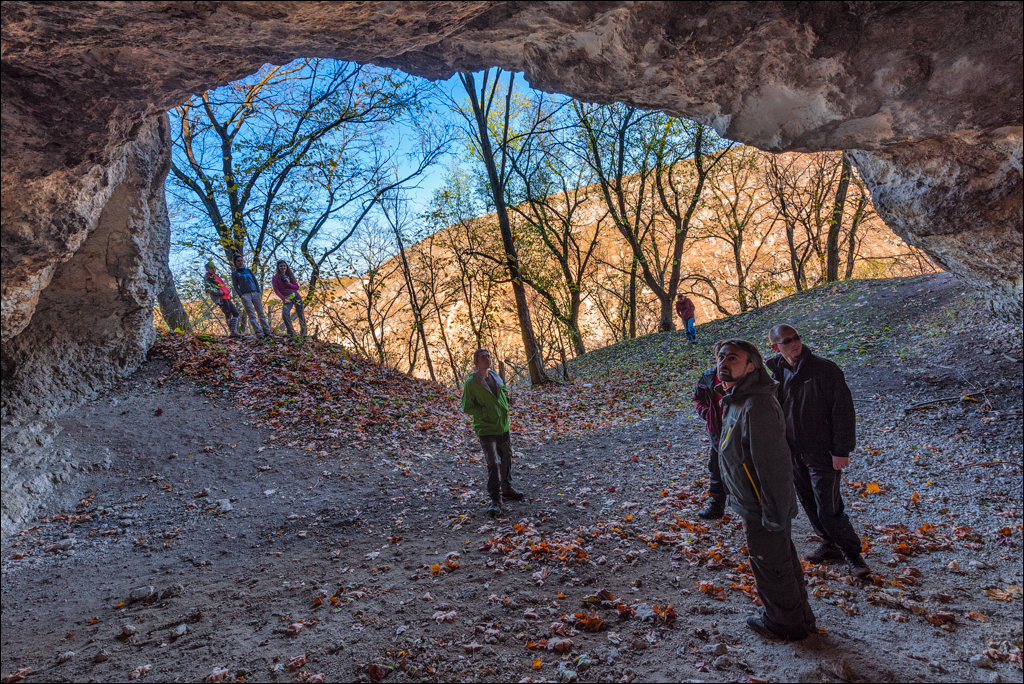 Brinzeni Trinca 20171110081