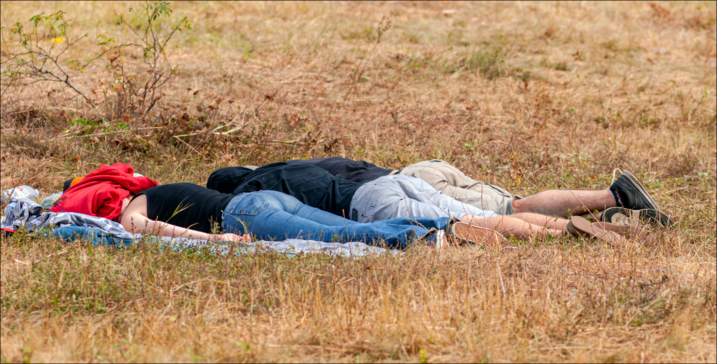 Gustar 201308242006 282