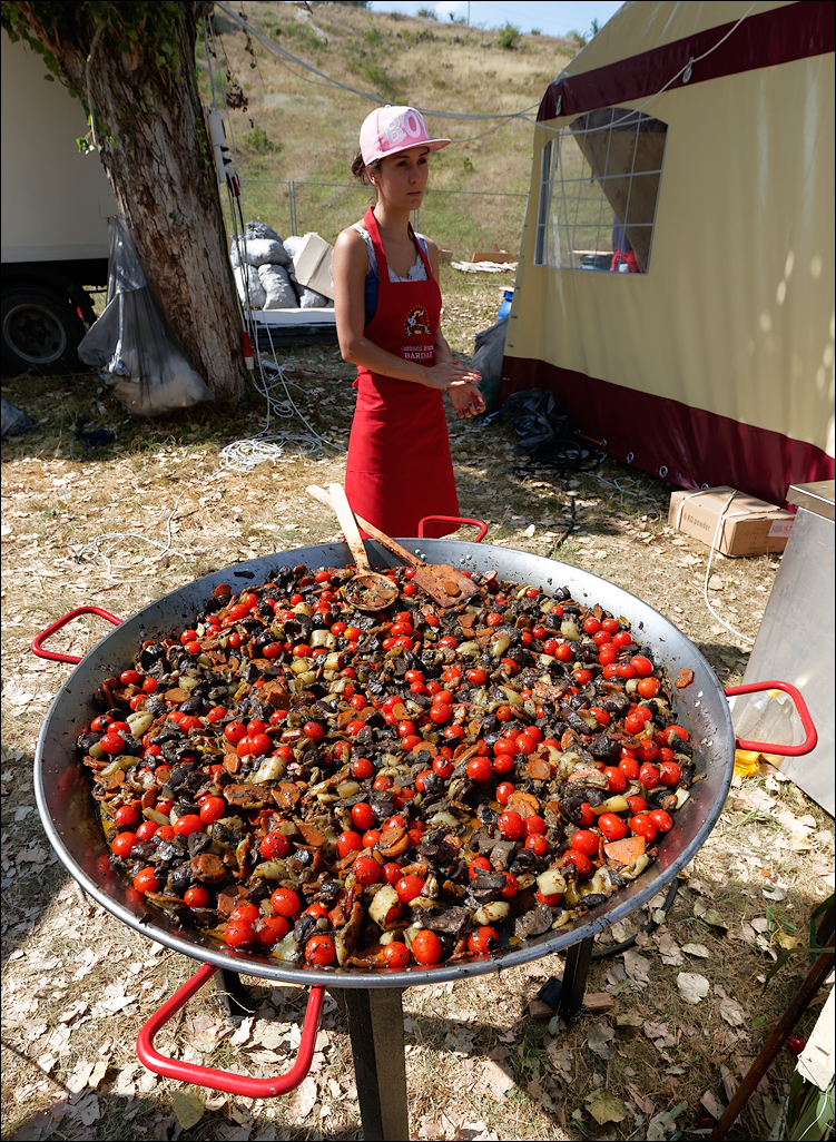 Gustar 201616080930850