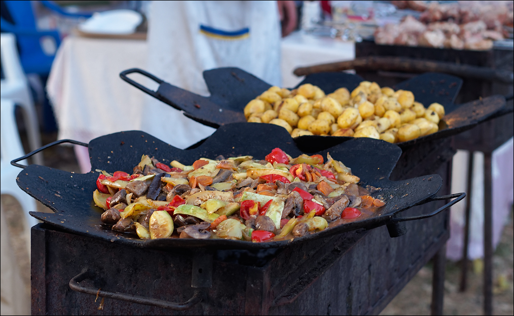 Gustar 201616081092305