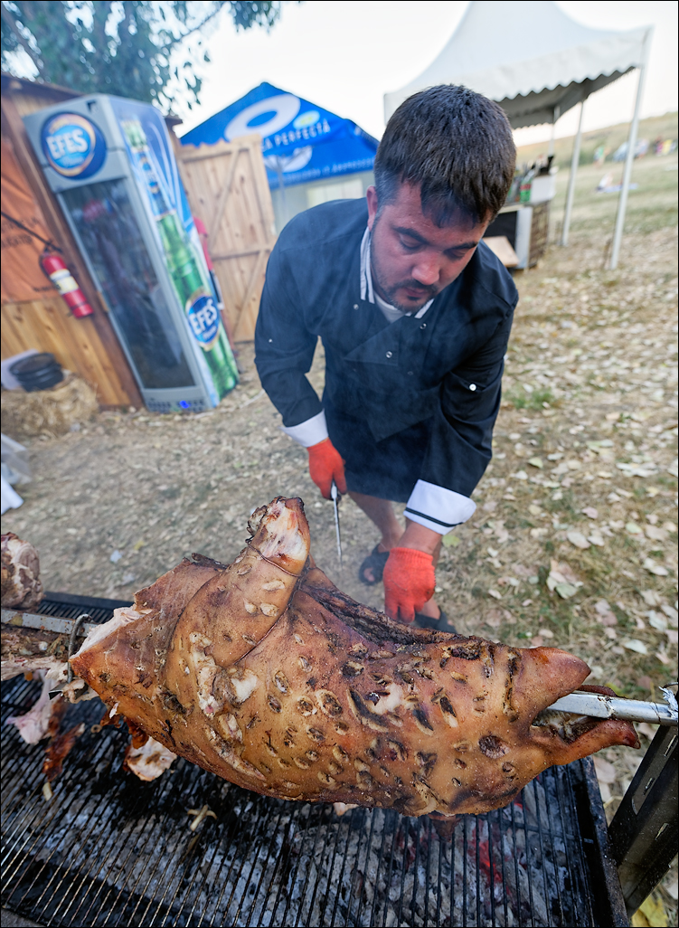 Gustar 201616081192139