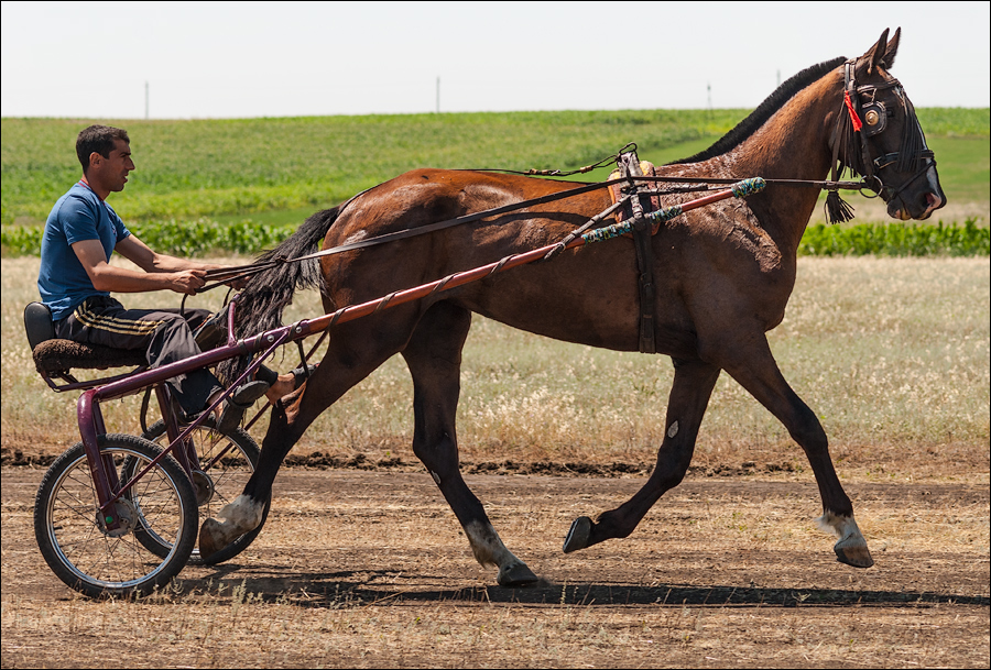 Tvardita 20150721136