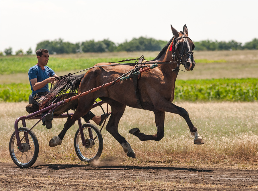 Tvardita 20150721146