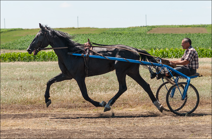 Tvardita 20150721173