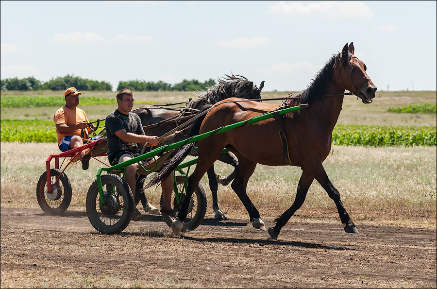 Tvardita 20150721188