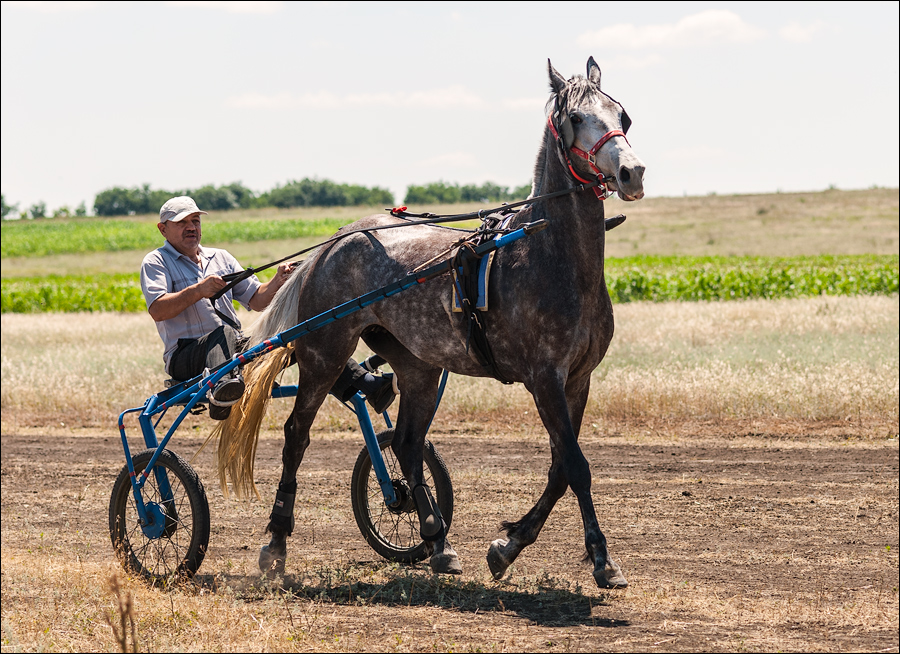 Tvardita 20150721200