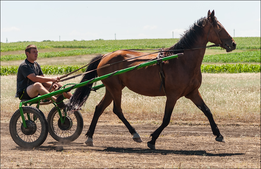 Tvardita 20150721205