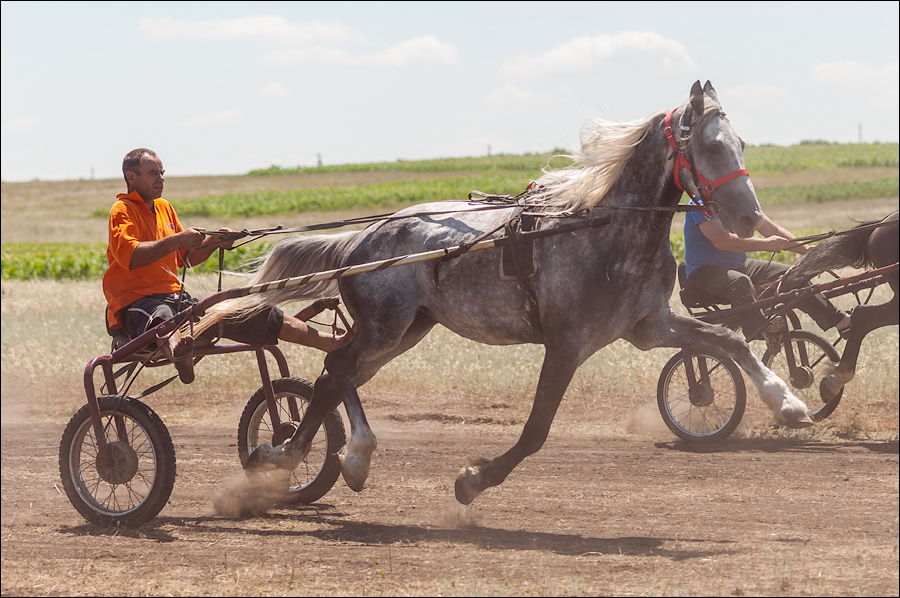 Tvardita 20150721207