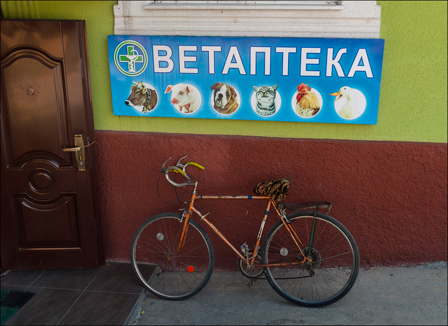 Tvardita 20150721224