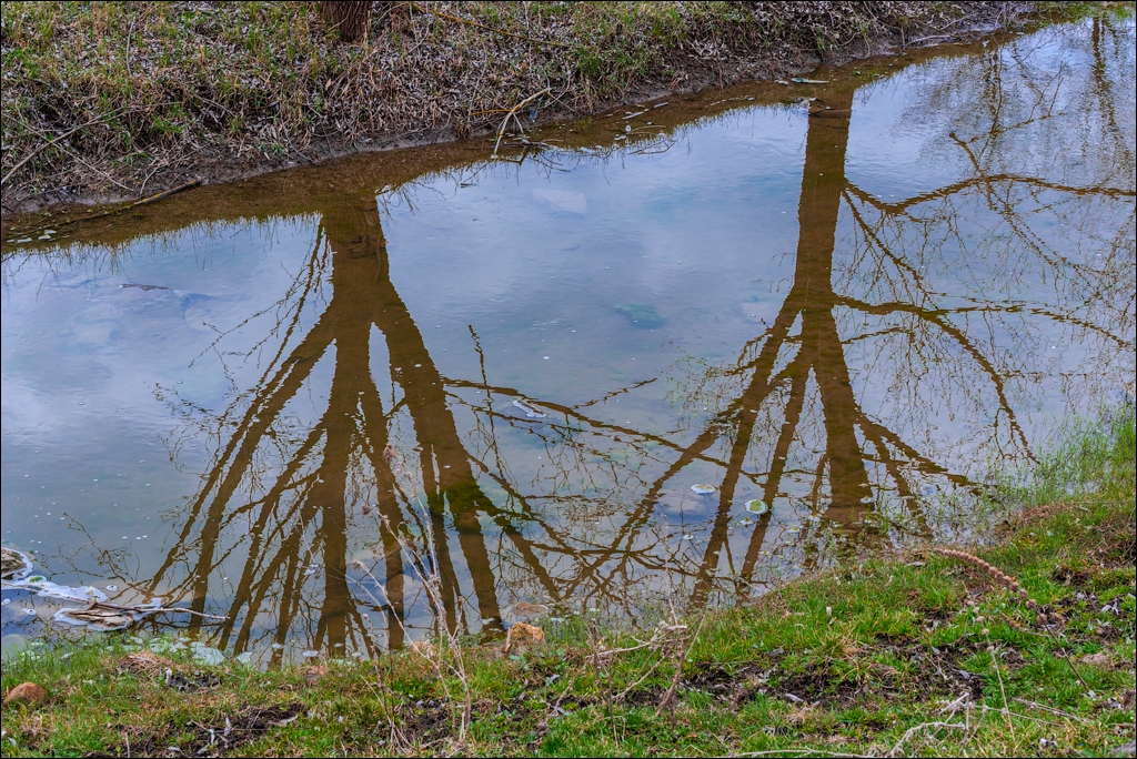 Brinzeni Gordinesti Fetesti 20210418 121