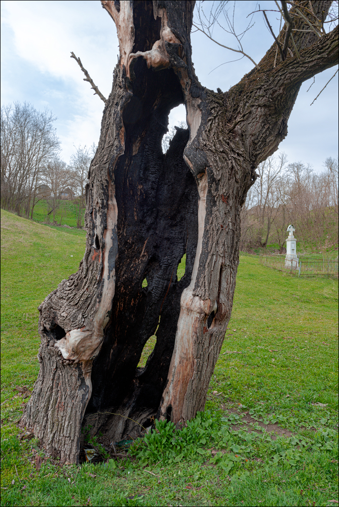 Brinzeni Gordinesti Fetesti 20210418 137