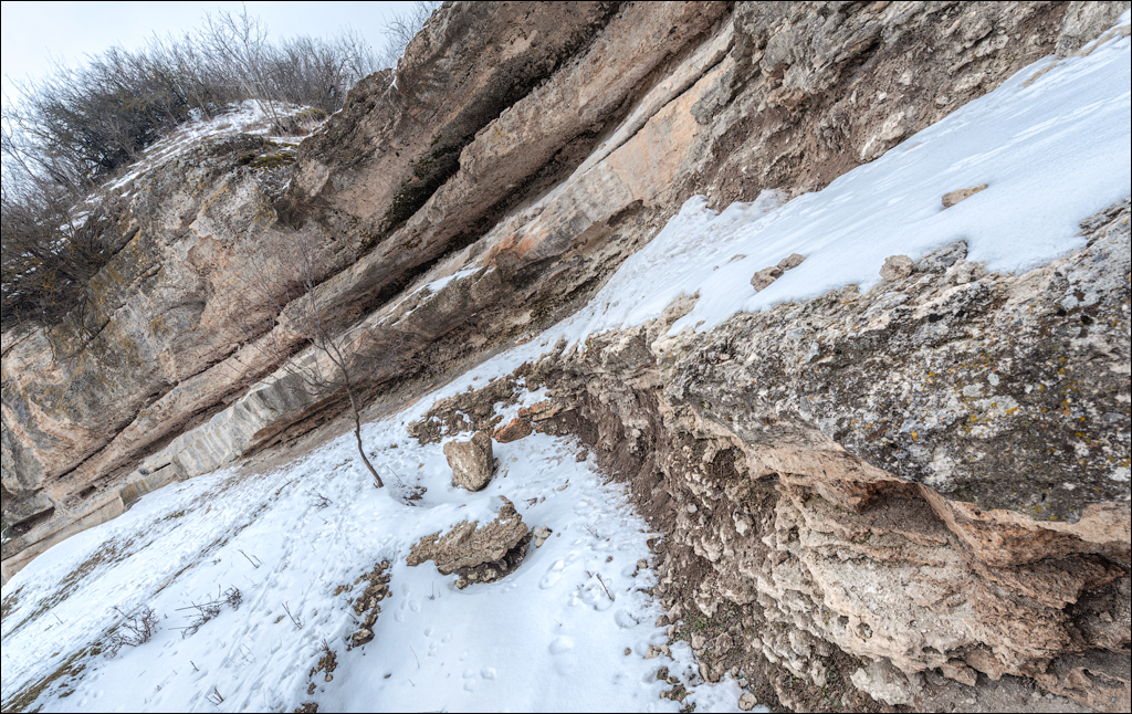 Soldanesti Ciorna 20210221 116