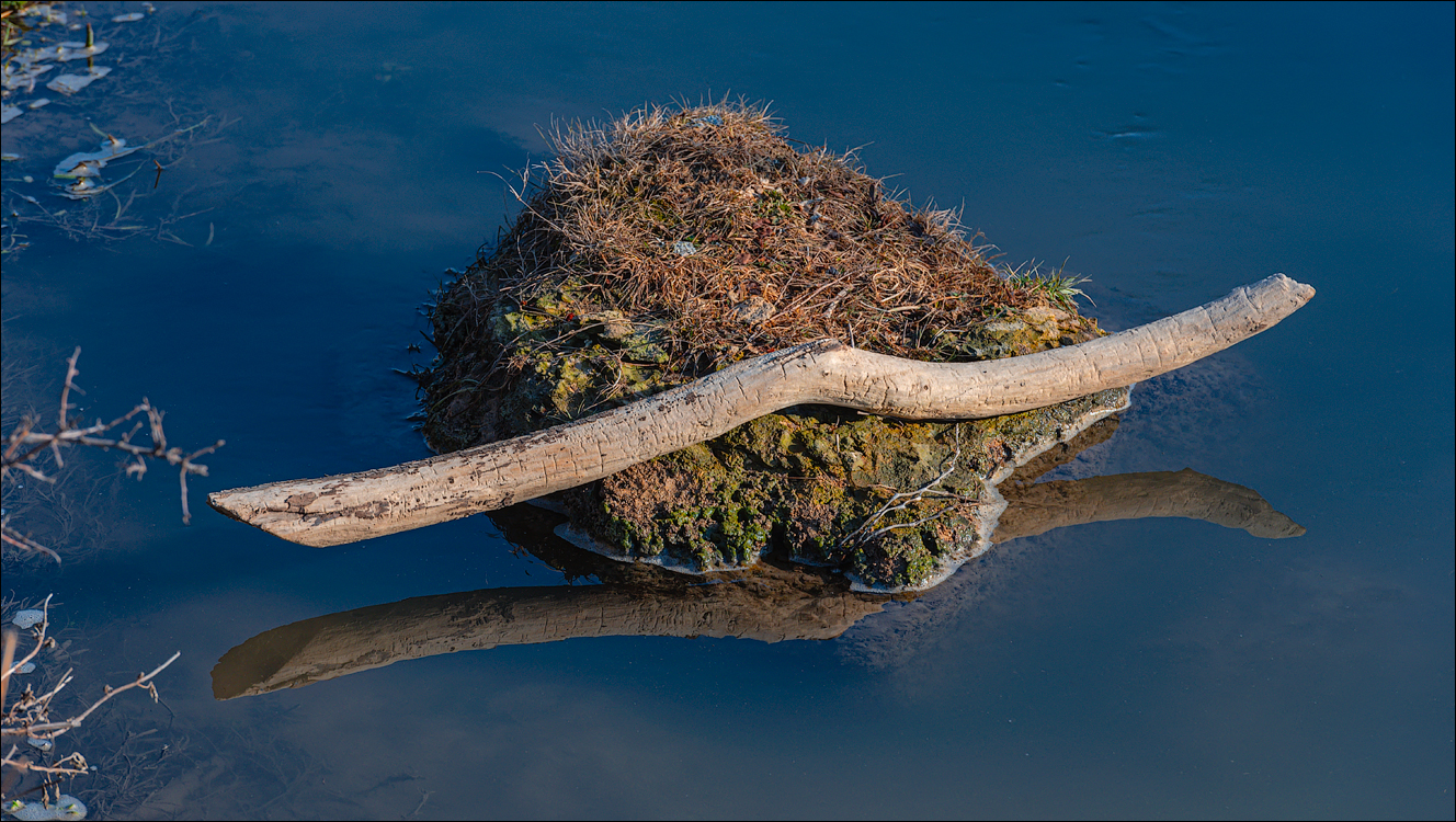Soldanesti Ciorna 20210221 161