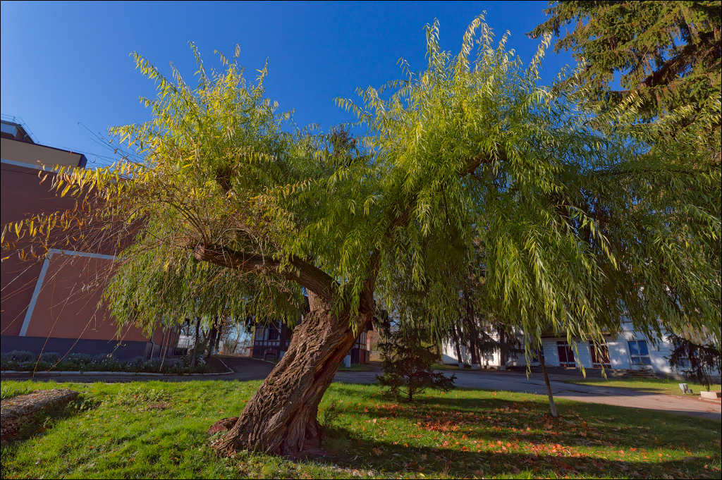 Taul Mindic Oliscani 2024 141