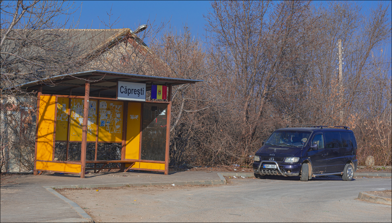 Capresti Cazanesti 10mar2024105