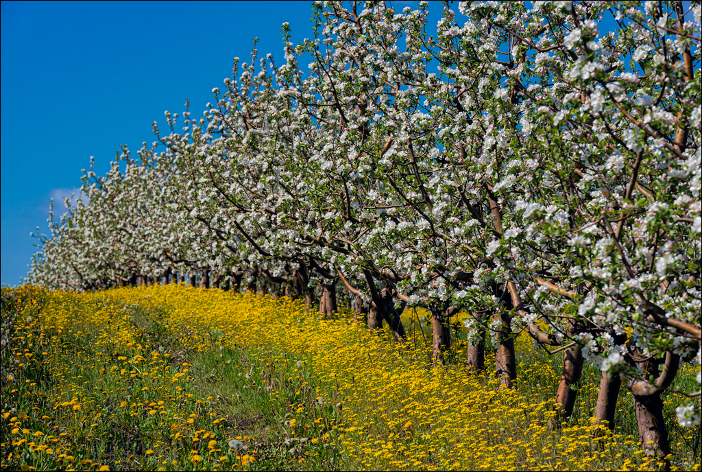 Ciuhur Horodiste Stolniceni 2021059 10 101