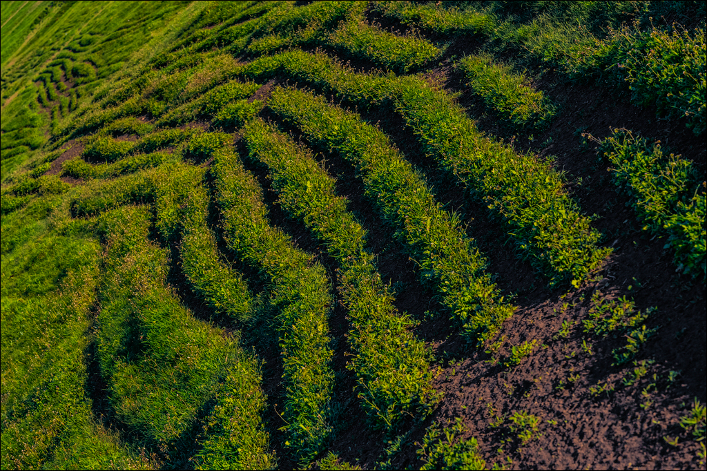 Ciuhur Horodiste Stolniceni 2021059 10 151