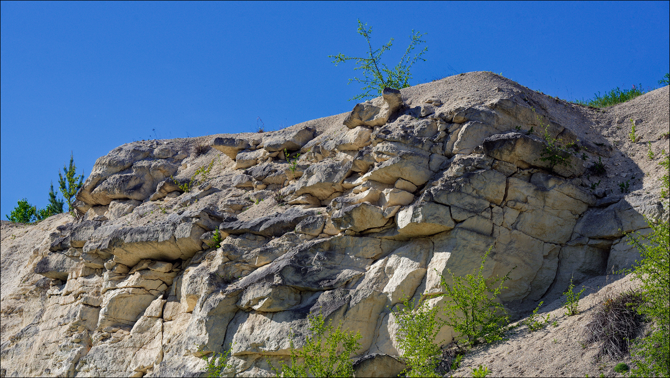 Corjeuti Gordinesti 4 6May2024 353