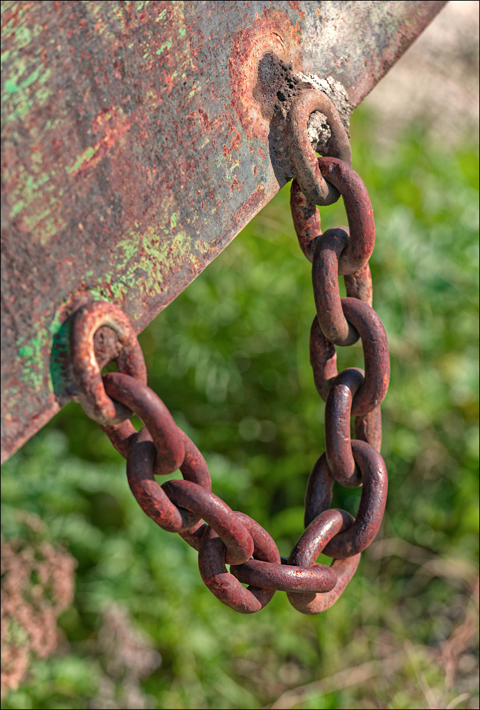 Corjeuti Gordinesti 4 6May2024 363