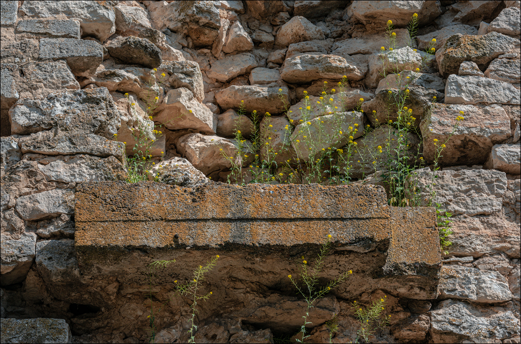 Cuhuresti Cobilea Dobrusa 26 27jun2021 127