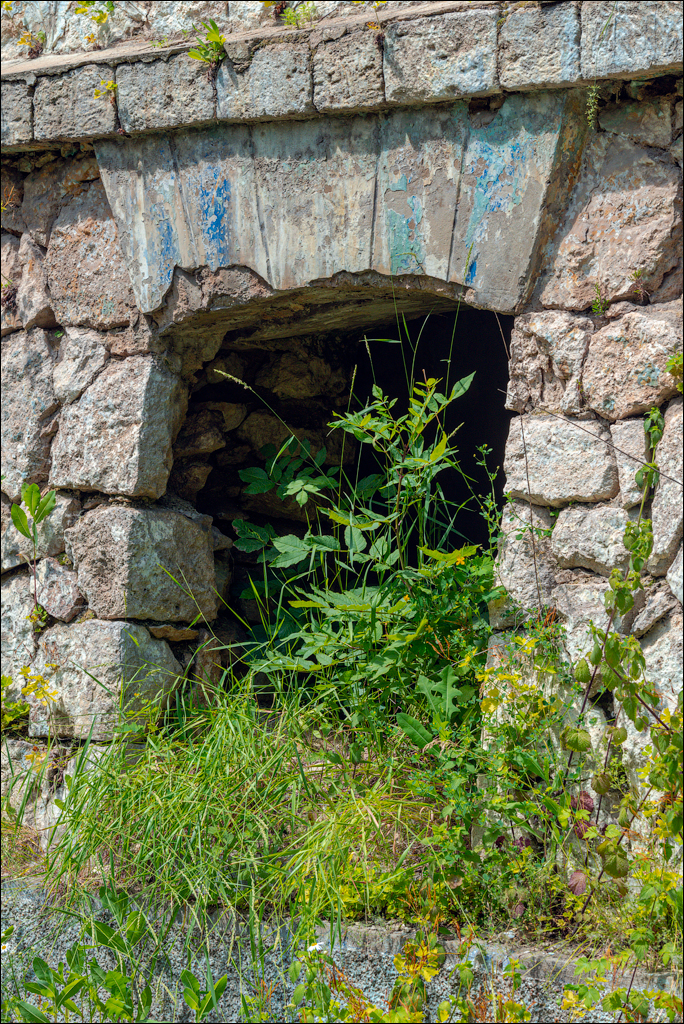 Cuhuresti Cobilea Dobrusa 26 27jun2021 173