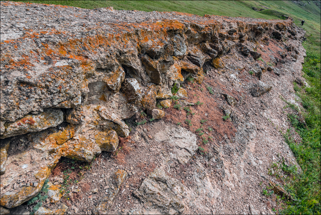 Domulgeni Ordasei may2018 02620180526
