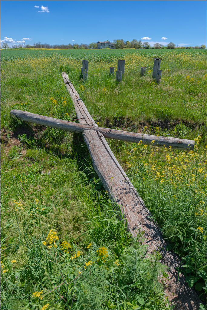 GuraBicului Dragalina 20210515 191