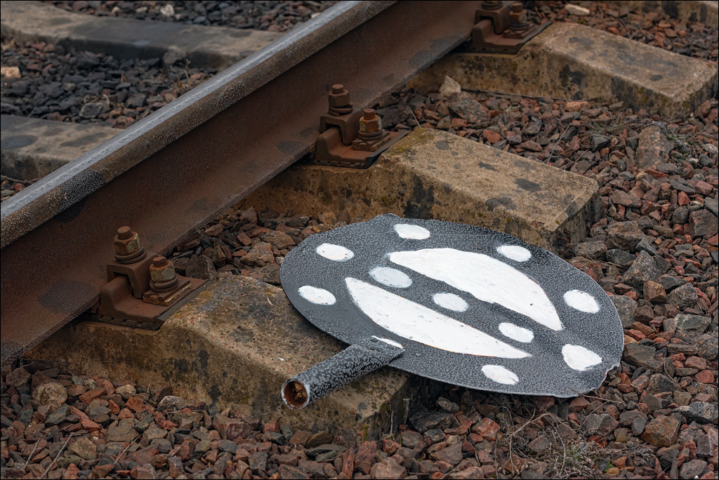 GuraCamencii Floresti 21022020 07