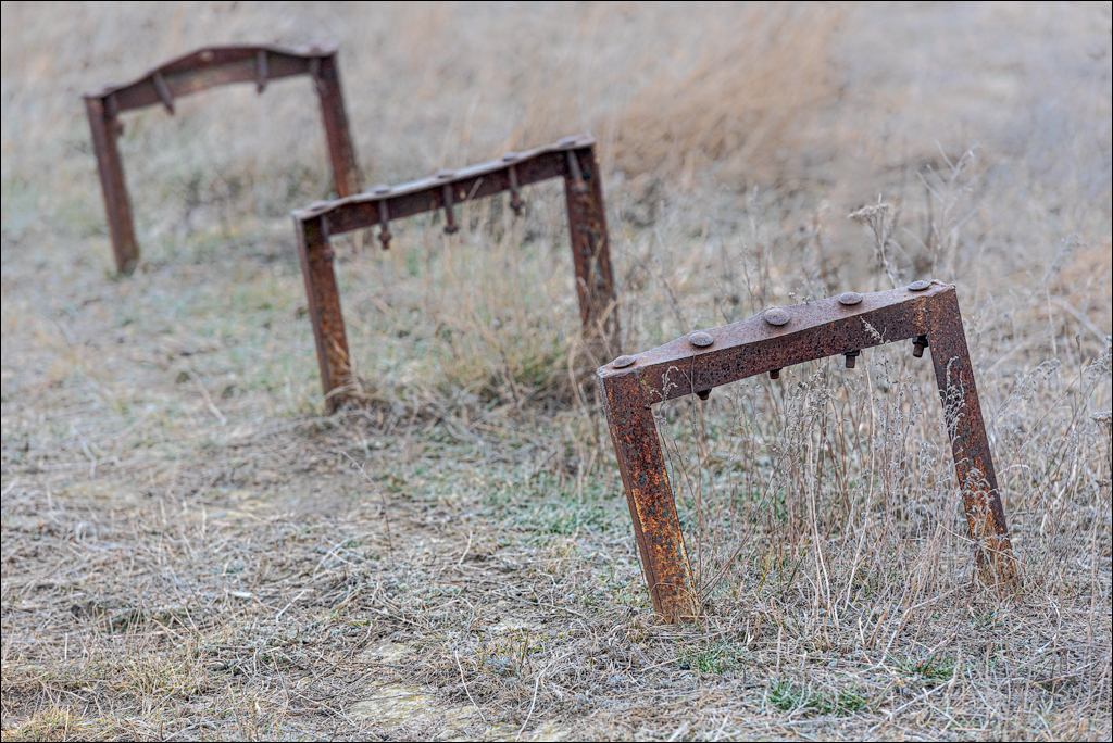 GuraCamencii Floresti 21022020 10