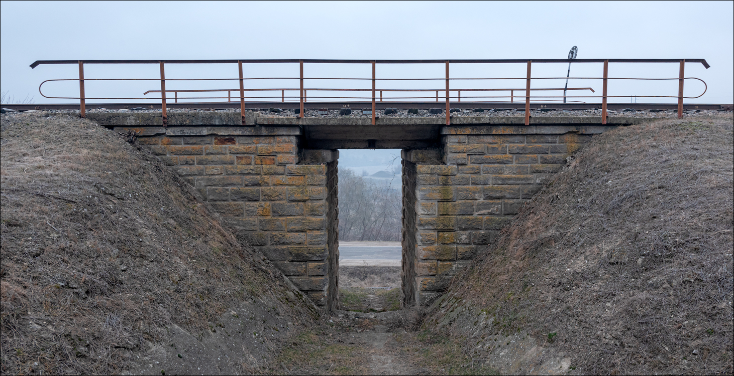 GuraCamencii Floresti 22022020 17