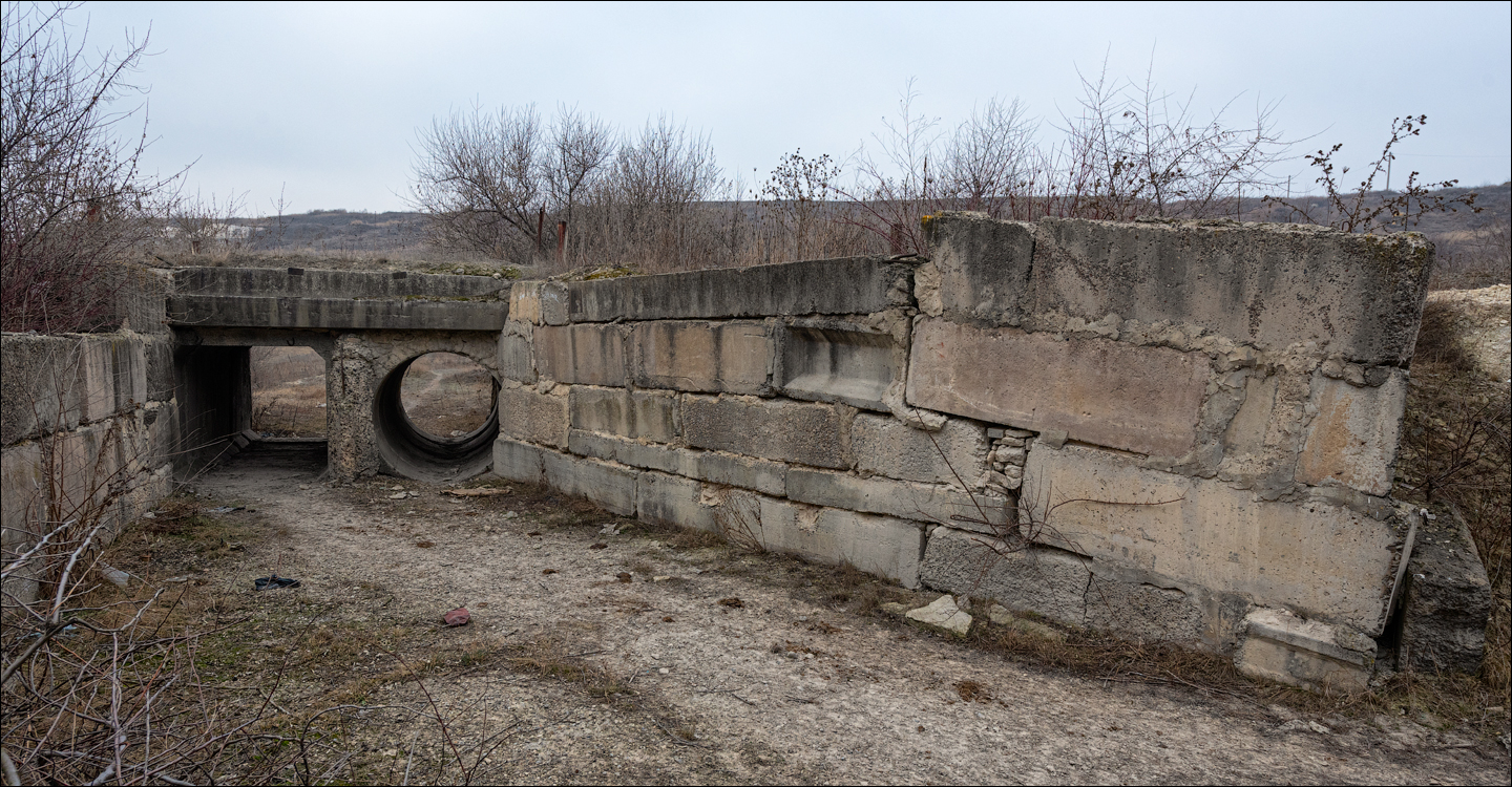 GuraCamencii Floresti 22022020 19