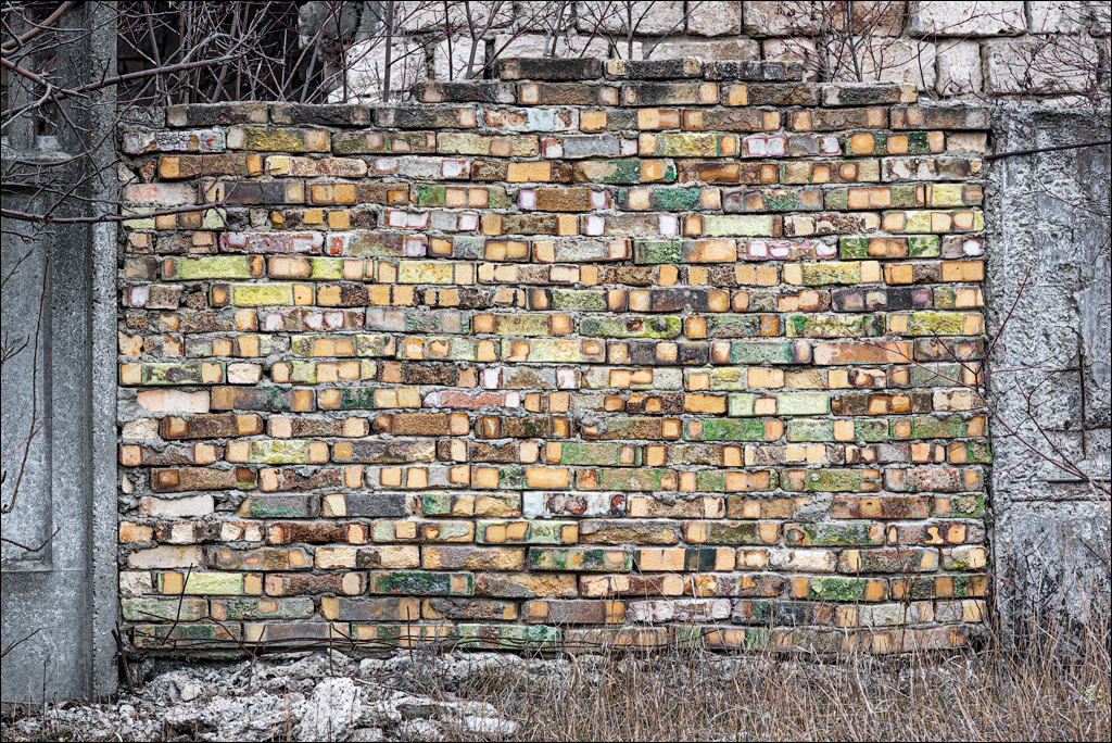 GuraCamencii Floresti 22022020 36