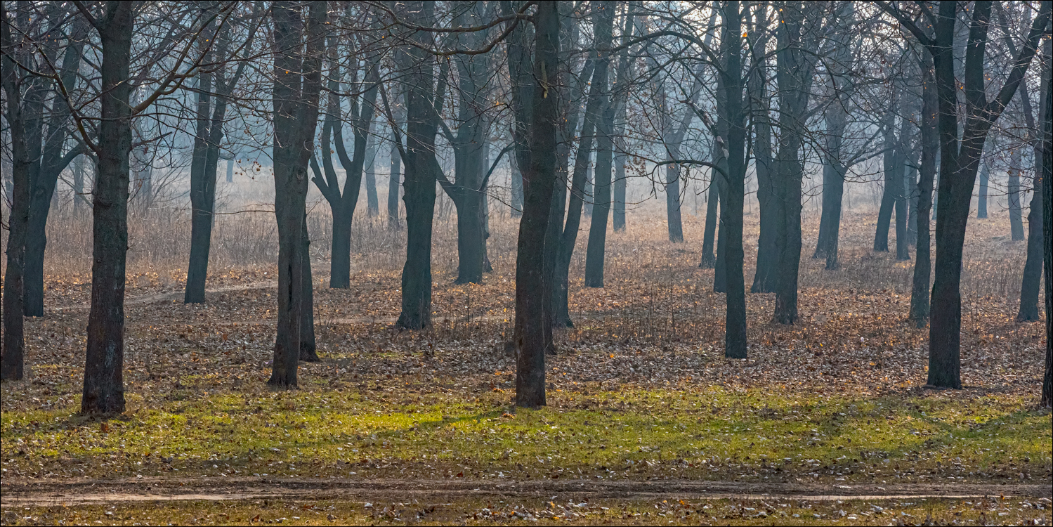 GuraCamencii Floresti 23022020 59