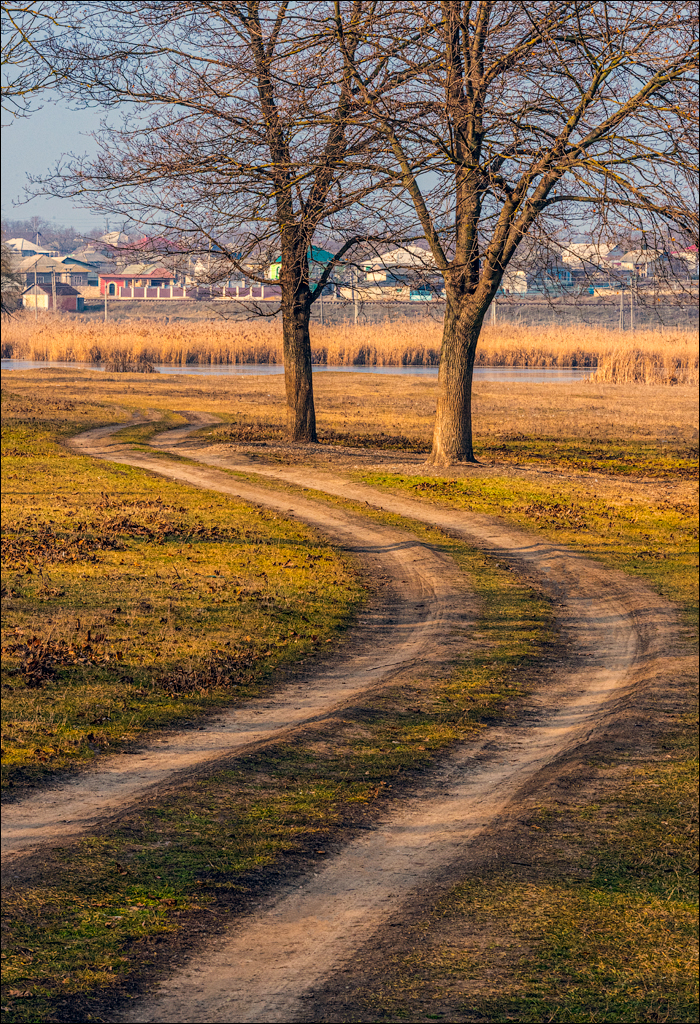 GuraCamencii Floresti 23022020 64