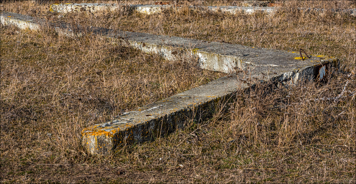 GuraCamencii Floresti 23022020 74