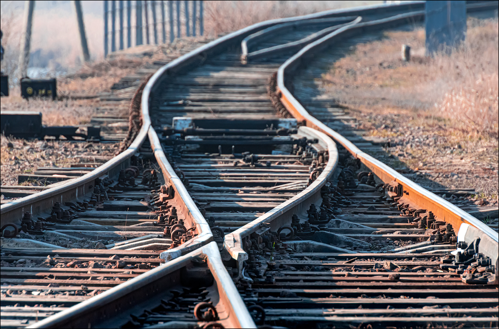 GuraCamencii Floresti 23022020 78