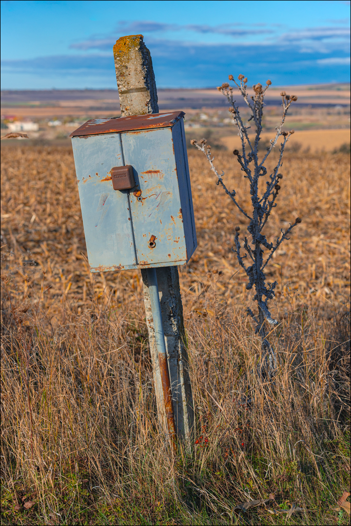 Rogojeni Domulgeni 28oct2023 102