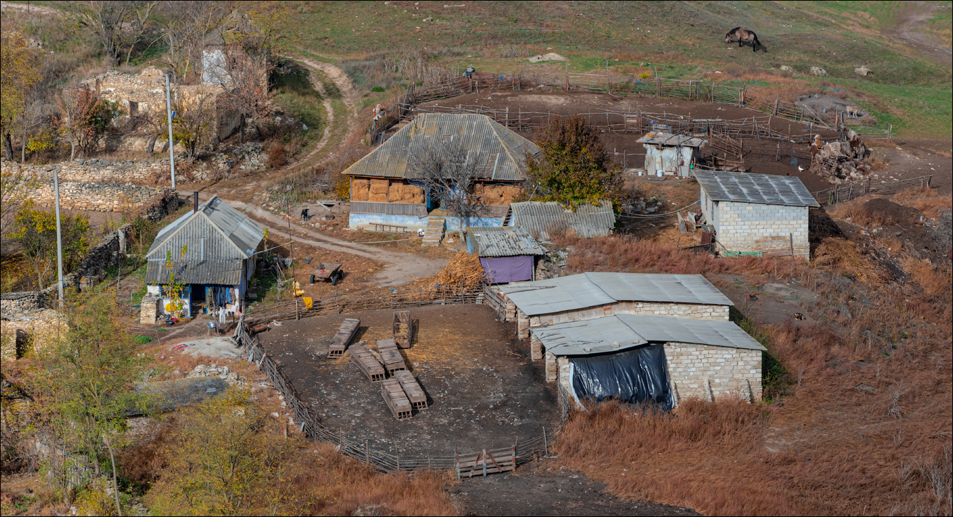 Rogojeni Domulgeni 28oct2023 113