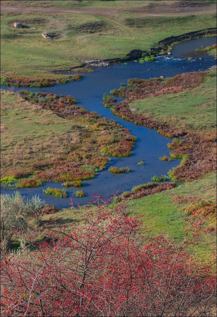 Rogojeni Domulgeni 28oct2023 114