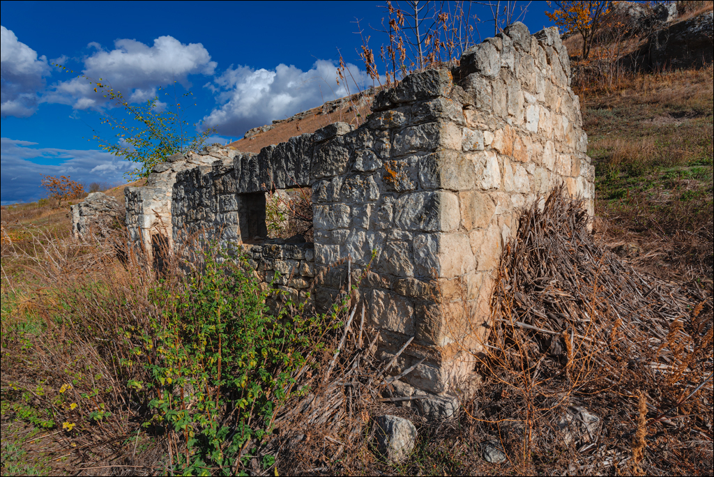 Rogojeni Domulgeni 28oct2023 142