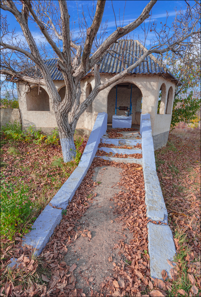 Rogojeni Domulgeni 28oct2023 150