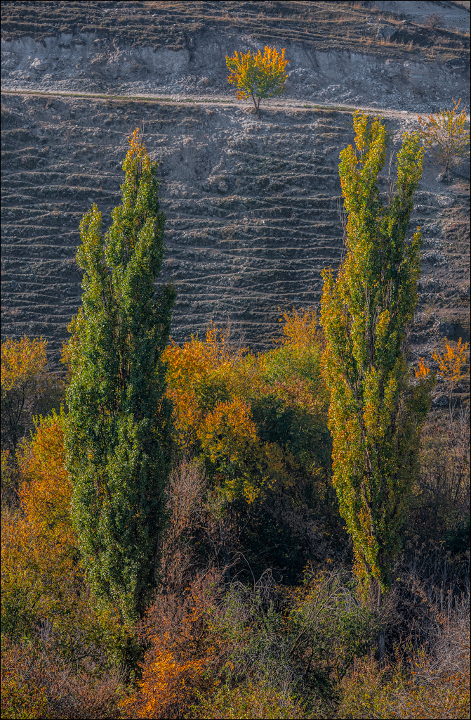Rogojeni Tira Ghindesti 28122019 143