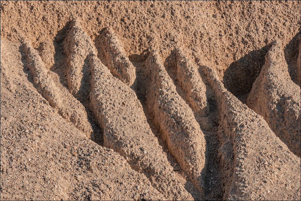 Trinca Gordinesti 29 30oct2021 148