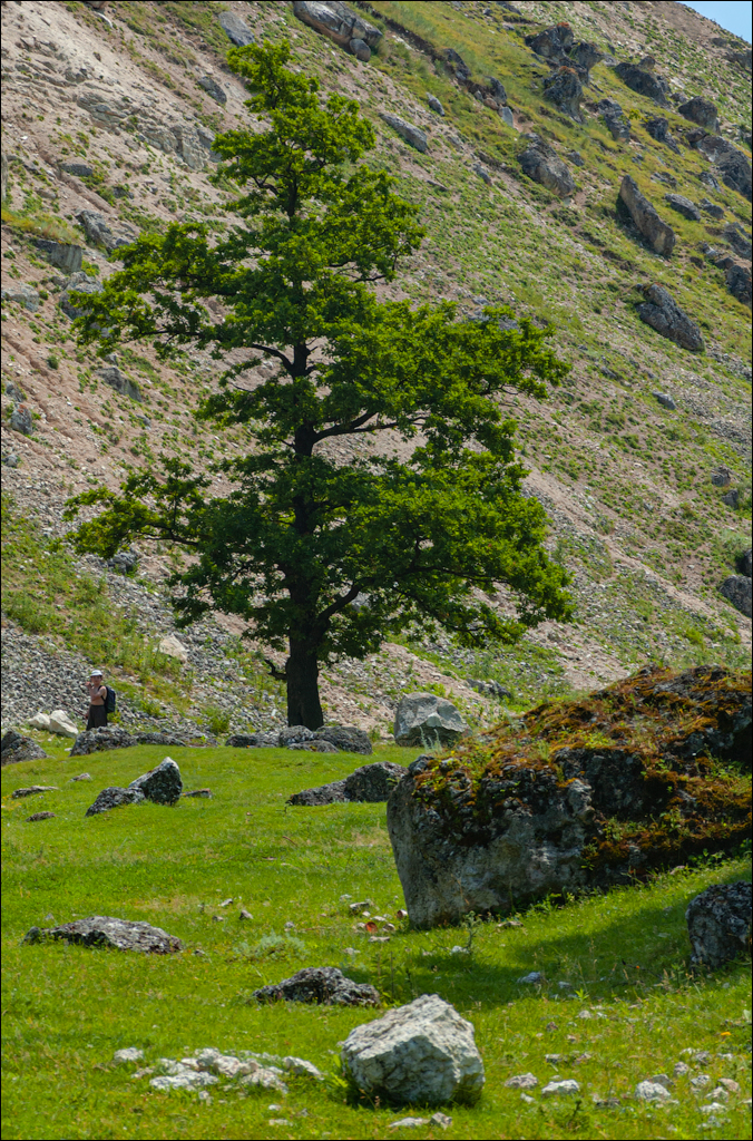 Burlanesti 20052006 122