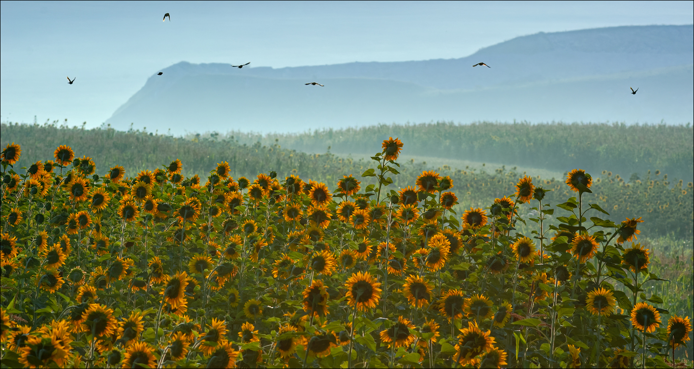 Burlanesti 20052006 131