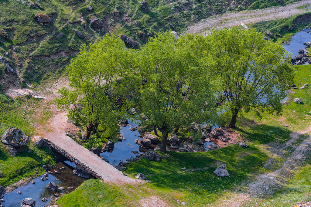 Caracuseni Corjeuti Fetesti Gordinesti 20190427145