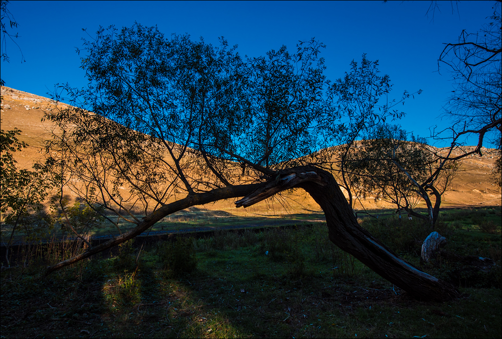 Corjeuti Fetesti 20172016122648