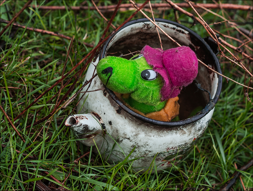 Corjeuti Fetesti 20172016122665