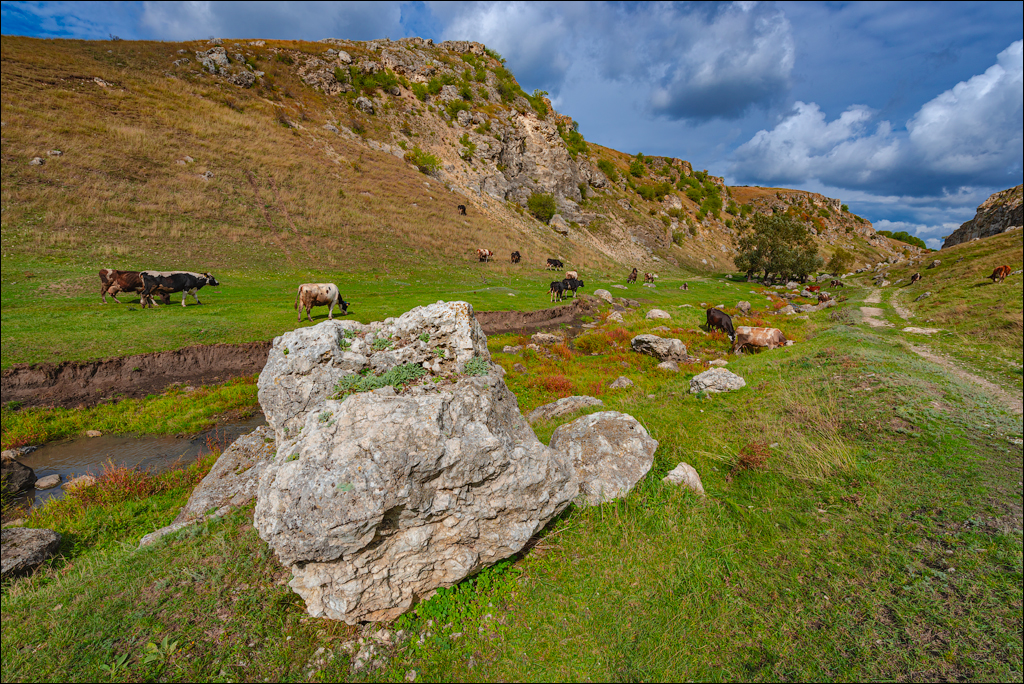 Trinca Gordinesti 24 25sep2022 106