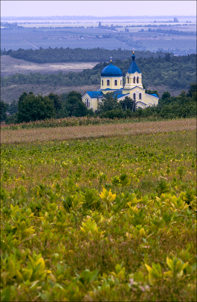 Tvipova Nostalgie 20050820101